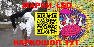 индика Будённовск
