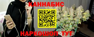 индика Будённовск
