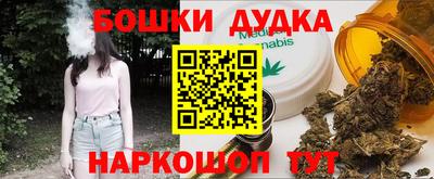 индика Будённовск