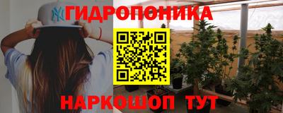 индика Будённовск