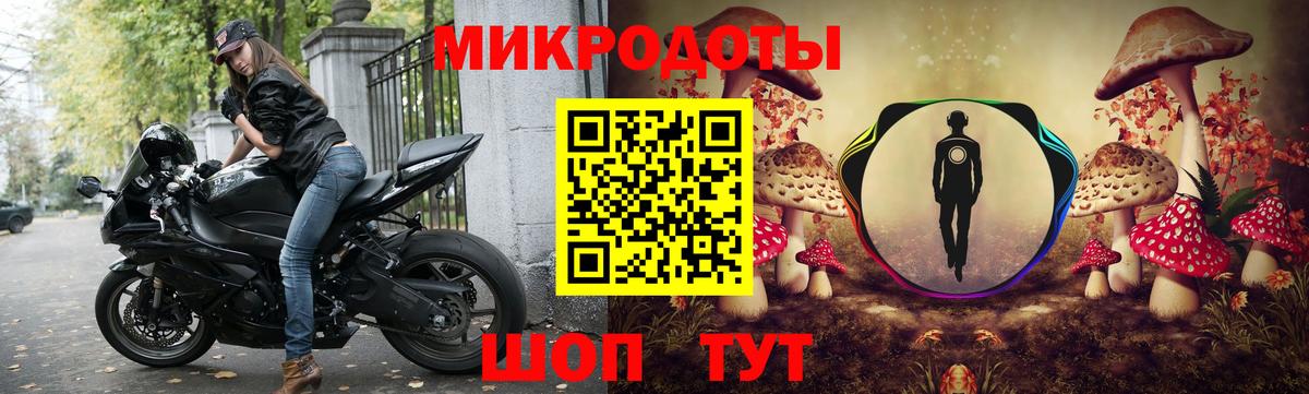 Новокубанск  продажа наркотиков  Вход с VPN  Галлюциногенные грибы MAGIC MUSHROOMS 