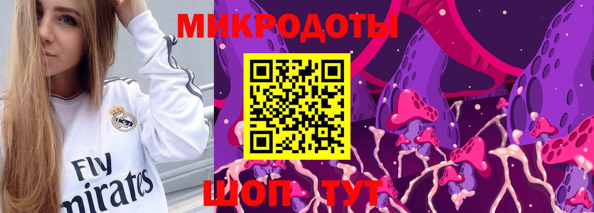 Псилоцибиновые грибы ЛСД Новокубанск